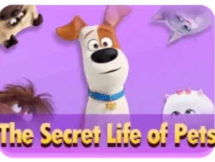 The Secret Life Of Pets thumbnail
